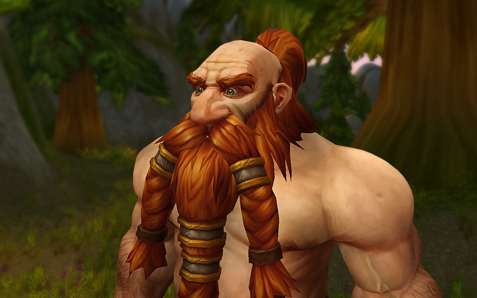 New WoW Character Models